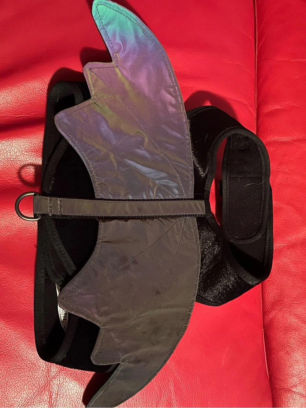 Top Paw bat wing/hat harness/costume